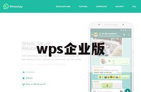 wps企业版