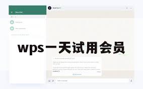 wps一天试用会员